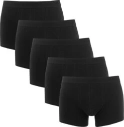 JACK&JONES JACTONE IN TONE TRUNKS 5 PACK NOOS Heren Onderbroek - Maat L -LingaDore Ondergoed Winkle 1166x1200