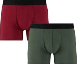 Sapph Boxershort Heren - Nolan - Microvezel - 2pack - Groen/Rood - M -LingaDore Ondergoed Winkle 1200x1003 1