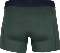 Sapph Boxershort Heren - Nolan - Microvezel - 2pack - Groen/Rood - M -LingaDore Ondergoed Winkle 1200x1051 1