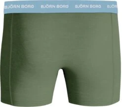 Björn Borg Essential Boxershorts Onderbroek Mannen - Maat S -LingaDore Ondergoed Winkle 1200x1056 5