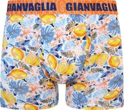 Boxershort Heren | 5 PACK | Katoen | Maat L | Print | Multicolor | Ondergoed Heren | Onderbroeken Heren | -LingaDore Ondergoed Winkle 1200x1068 3