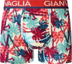 Heren Boxershorts Katoen - 5-Pack - Maat XL | Heren Ondergoed -LingaDore Ondergoed Winkle 1200x1070 1