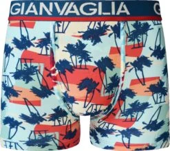 Heren Boxershorts Katoen - 5-Pack - Maat XL | Heren Ondergoed -LingaDore Ondergoed Winkle 1200x1070 2