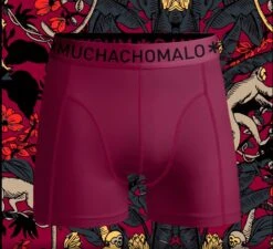 Muchachomalo-12-pack Onderbroeken Voor Mannen-Elastisch Katoen-Boxershorts - Maat L 38 Muchachomalo-12-pack Onderbroeken Voor Mannen-Elastisch Katoen-Boxershorts - Maat L -LingaDore Ondergoed Winkle 1200x1091 5