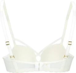 Sapph Fabulous Padded Bra -LingaDore Ondergoed Winkle 1200x1145
