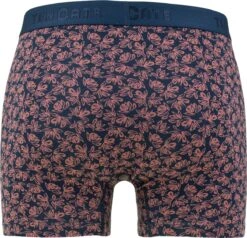 Ten Cate Basics Shorts Navy Graphic 4 Pack Voor Heren | Maat L 12 Ten Cate Basics Shorts Navy Graphic 4 Pack Voor Heren | Maat L -LingaDore Ondergoed Winkle 1200x1154 1
