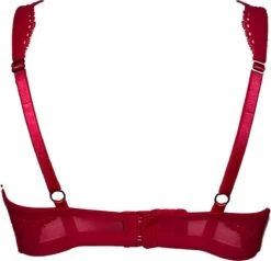 After Eden D-Cup & Up Denise Beha - Maat 90G -LingaDore Ondergoed Winkle 1200x1156 2