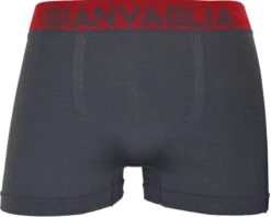 Merkloos Microfiber Heren Boxershort - 10-pack - Effen - Maat M/L | Multipack -LingaDore Ondergoed Winkle 1200x961 1