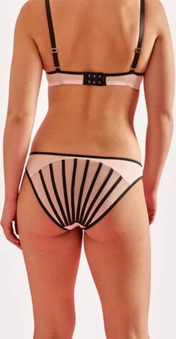 Sapph Ceres Brief -LingaDore Ondergoed Winkle 624x1200