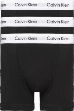 Calvin Klein Trunks Onderbroek Mannen - Maat XS -LingaDore Ondergoed Winkle 803x1200