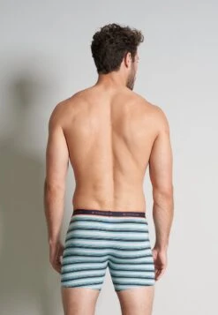 TOM TAILOR Kentucky 4-pack Heren Long Boxershorts - Blauw/groen - Maat XL -LingaDore Ondergoed Winkle 831x1200 118