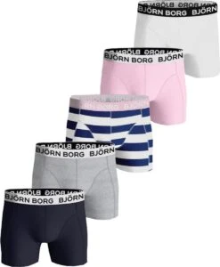 Björn Borg Boxershorts Essential (5-pack) - Heren Boxers Normale Lengte - Blauw - Grijs - Wit - Roze En Gestreept - Maat: M
